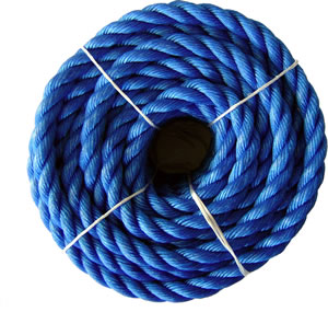 Blue Poly Rope 10mm x 10m $7.65